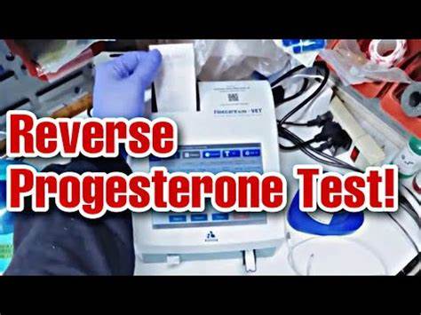 Reverse Progesterone Test